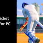 Best Cricket Games for PC
